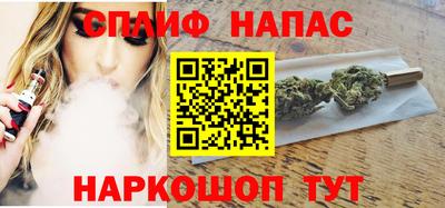 МДПВ Владикавказ