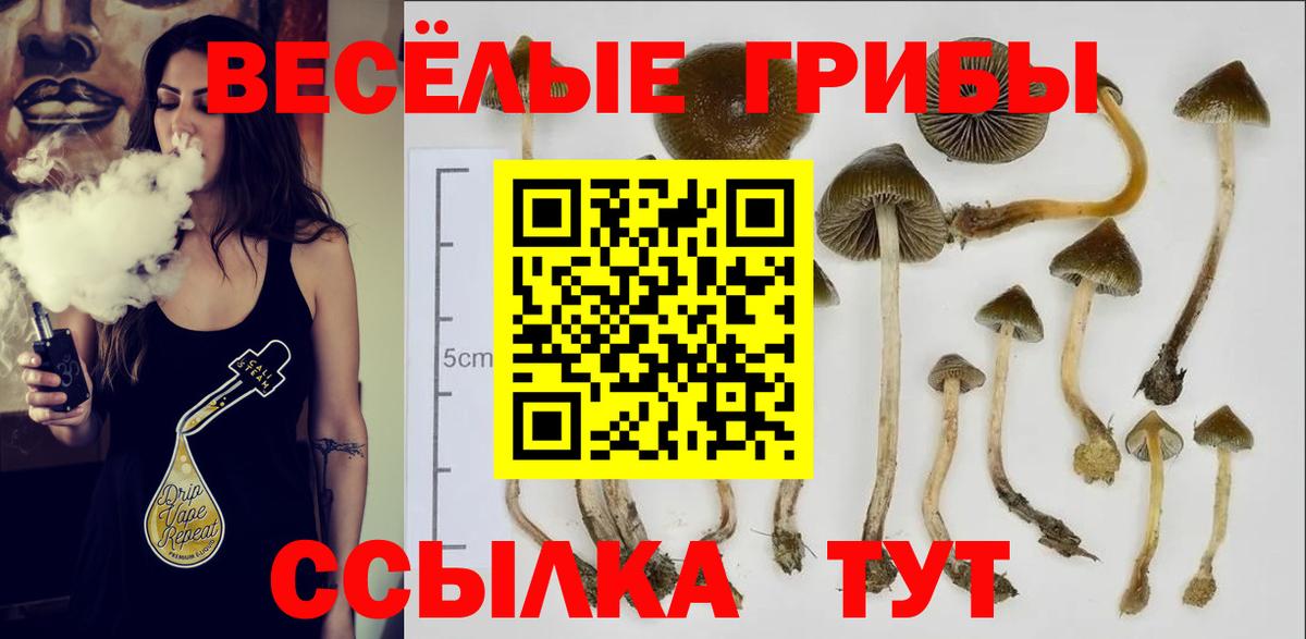Галлюциногенные грибы GOLDEN TEACHER Астрахань